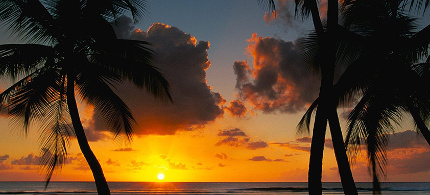 支持离线使用的在线网站攻击